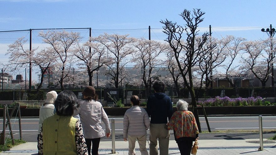 桜を見に出かける様子